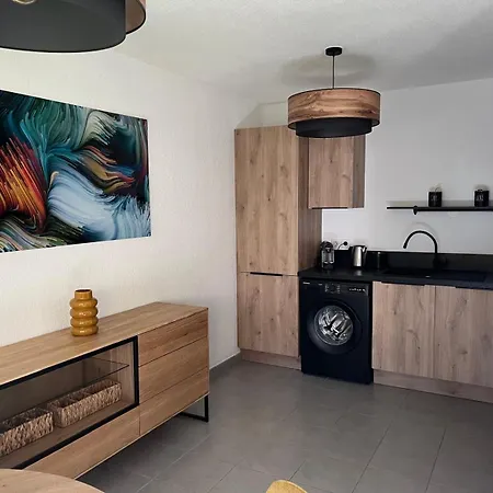 Appartement T3 Climatisé Avec Place De Parking Privé Perpignan